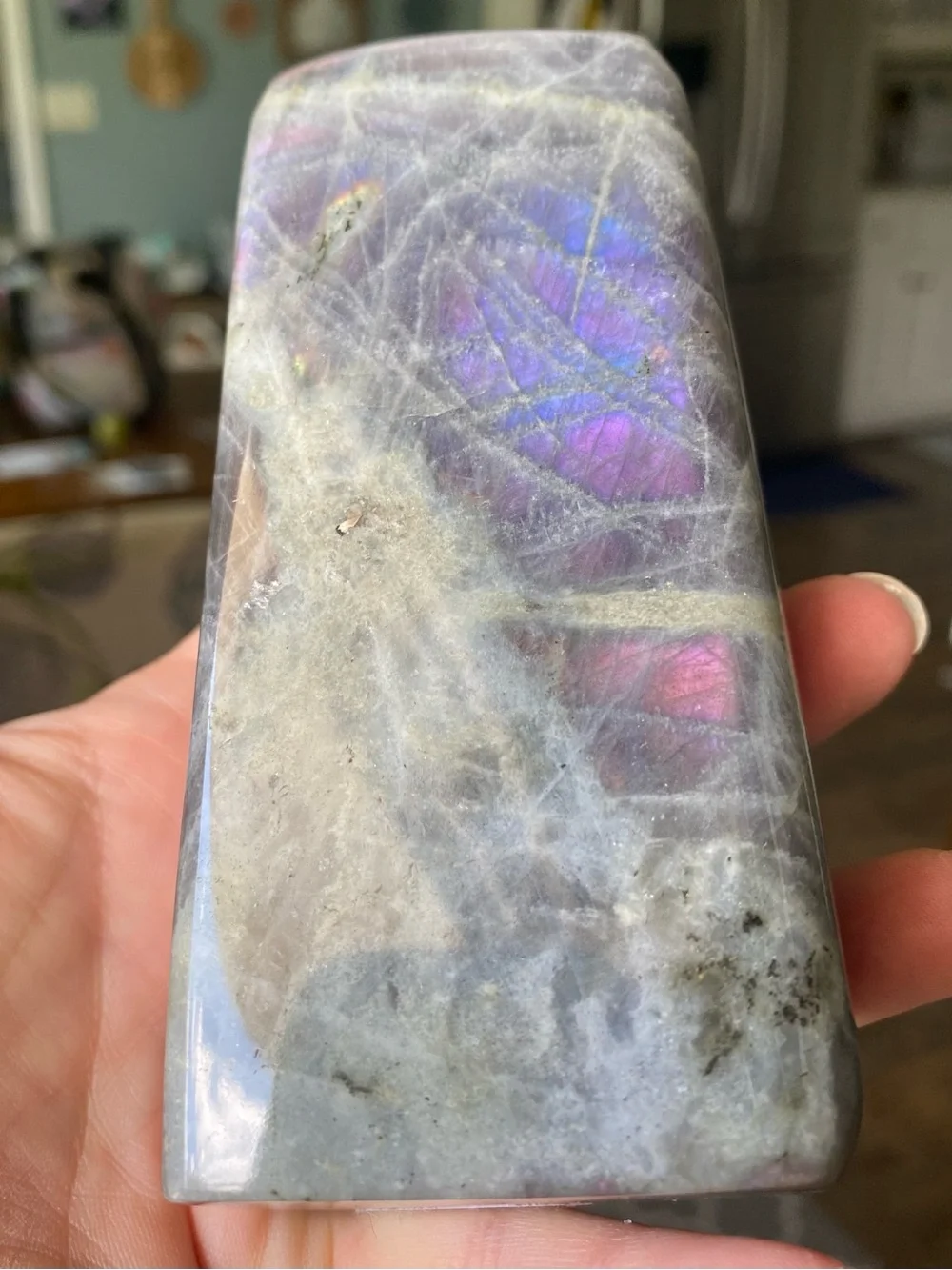 ✨ Double Flash Labradorite Freeform – 4.5 Inches ✨